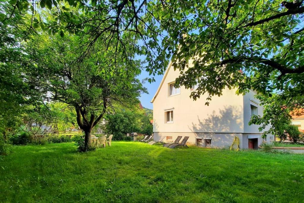4 Persons * Kaysersberg-Vignoble
